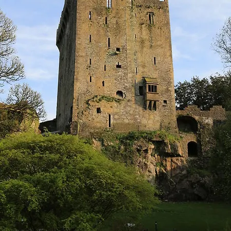 The White House Cork