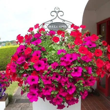 The White House Отель типа 