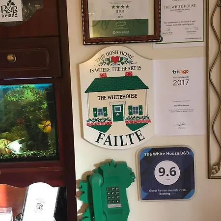 Bed & Breakfast The White House