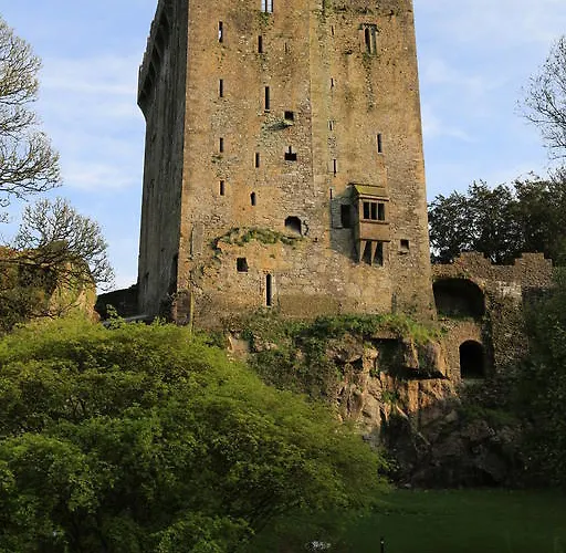 The White House Cork