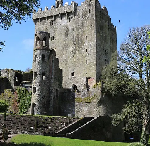 The White House Отель типа 