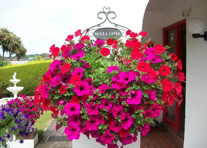 The White House Отель типа 